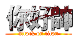 你好帥 (attack on titan)