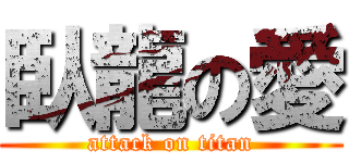 臥龍の愛 (attack on titan)