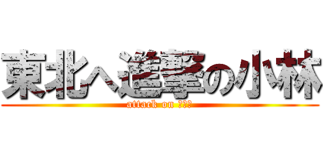 東北へ進撃の小林 (attack on 大明神)