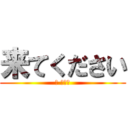 来てください (（ 切実）)