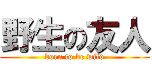 野生の友人 (born to be wild)
