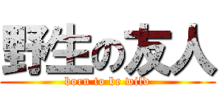 野生の友人 (born to be wild)