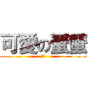 可愛の蟹蟹 (溝追)