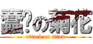 蠢轩の菊花 (attack on titan)