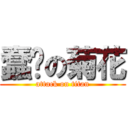 蠢轩の菊花 (attack on titan)