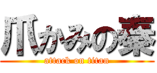 爪かみの秦 (attack on titan)