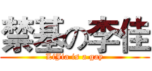 禁基の李佳 (LiJia is a gay)