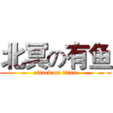 北冥の有鱼 (attack on titan)