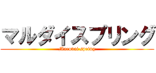 マルダイスプリング (Marudai spring)