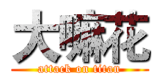 大嘛花 (attack on titan)