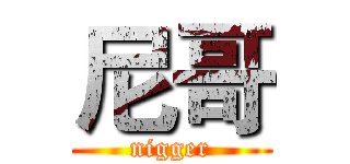 尼哥 (nigger)