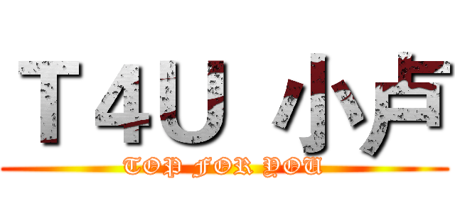 Ｔ４Ｕ  小卢 (TOP FOR YOU)