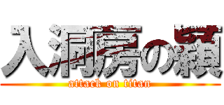 入洞房の穎 (attack on titan)