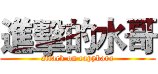 進擊的水哥 (attack on capybara)