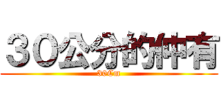 ３０公分的仲有 (30Cm)