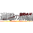 進擊の熊貓 (attack on titan)