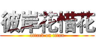 彼岸花惜花 (attack on titan)