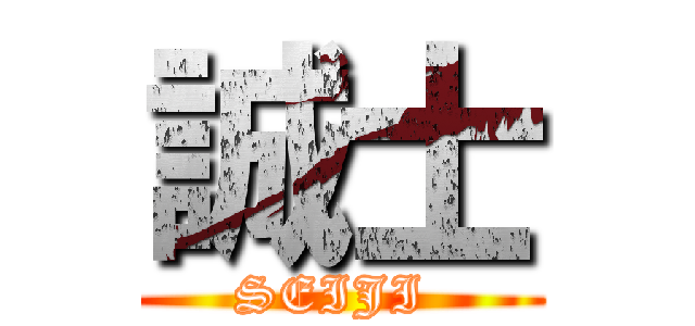 誠士 (SEIJI )