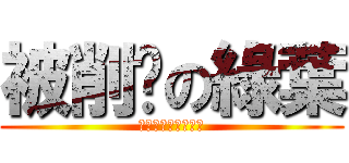 被削腳の綠葉 (誰叫你那麼高還炫耀)