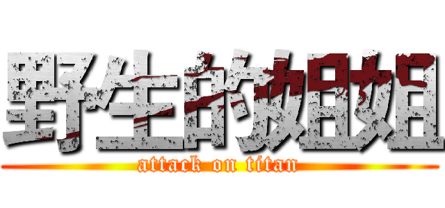 野生的姐姐 (attack on titan)