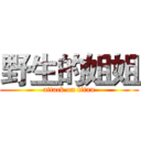 野生的姐姐 (attack on titan)