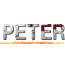 ＰＥＴＥＲ (attack on Securities)