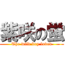 紫咲の蛍 (The wild boy loved)