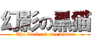 幻影の黒猫 (The black cat of a vision)