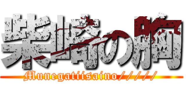 柴崎の胸 (Munegatiisaino/////)