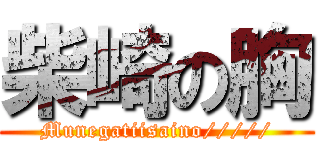 柴崎の胸 (Munegatiisaino/////)