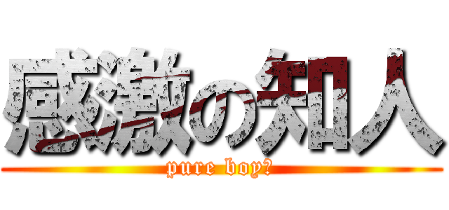 感激の知人 (pure boy　)