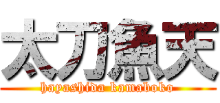 太刀魚天 (hayashida kamaboko)