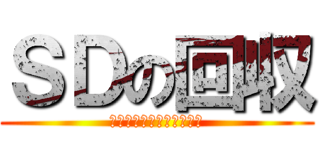 ＳＤの回収 (木曜日中にお願いします！)