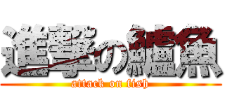 進撃の鱸魚 (attack on fish)