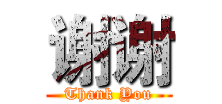 谢谢 (Thank You)