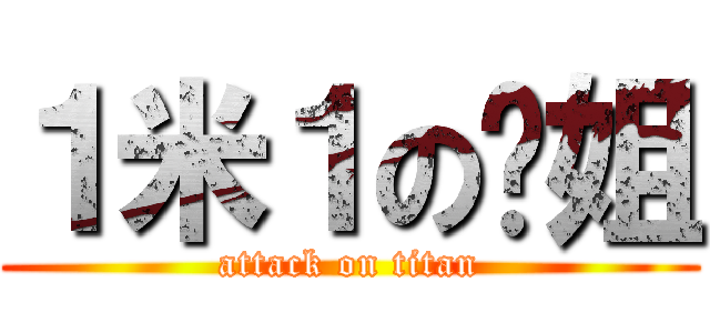１米１の宁姐 (attack on titan)