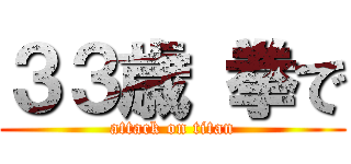 ３３歳 拳で (attack on titan)