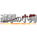 進撃の小狗 (Attack On Dog)