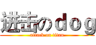 进击のｄｏｇ (attack on titan)