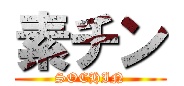 素チン (SOCHIN)