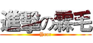 進擊の霖毛 (Year)