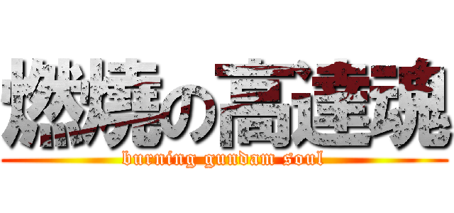 燃燒の高達魂 (burning gundam soul)