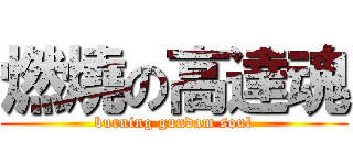 燃燒の高達魂 (burning gundam soul)