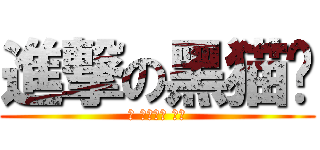 進撃の黑猫长 (我 只是一只 伪娘)