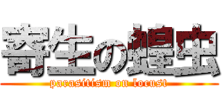 寄生の蝗虫 (parasitism on locust)