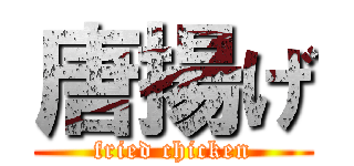 唐揚げ (fried chicken)