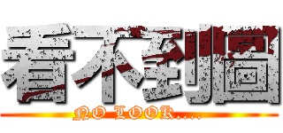 看不到圖 (NO LOOK....)