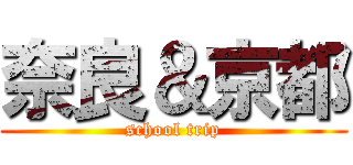 奈良＆京都 (school trip)