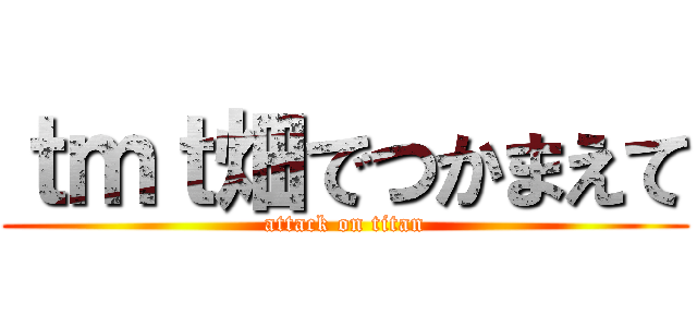 ｔｍｔ畑でつかまえて (attack on titan)
