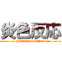 炎色反応 (Flame reaction)